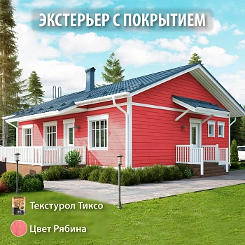 картинка Текстурол ТИКСО Рябина 3л деревозащитное средство от магазина Кубатура
