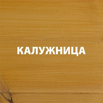 картинка Гибридный лессирующий антисептик для дерева Акватекс Викинг калужница 2.5л от магазина Кубатура