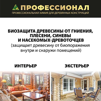 картинка Антисептик универсальный ПРОФЕССИОНАЛ Universal для наружных и внутренних работ, концентрат 1:5 1л от магазина Кубатура