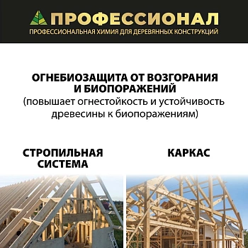 картинка Огнебиозащита ПРОФЕССИОНАЛ FIRE-BIO 2 группа защиты, концентрат 1:9 с красным контролем нанесения 1л от магазина Кубатура
