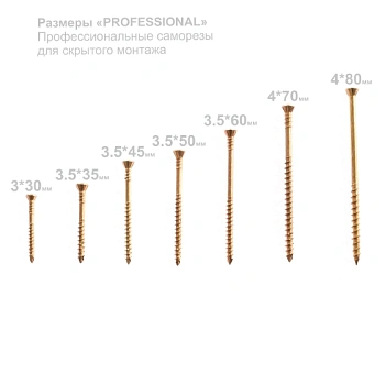 картинка Cаморезы для скрытого крепежа 3.5*35мм ПРОФЕССИОНАЛ Torx10 (100шт/уп) от магазина Кубатура