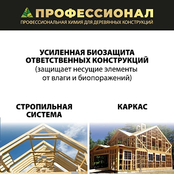 картинка Антисептик для каркасов ПРОФЕССИОНАЛ Frame Green готовый состав с зеленым контролем нанесения 10л от магазина Кубатура