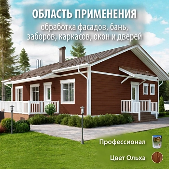 картинка Масло для Фасадов ПРОФЕССИОНАЛ Ольха (НК-72) 2,7л от магазина Кубатура