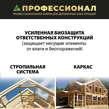 картинка Антисептик для каркасов ПРОФЕССИОНАЛ Frame Green концентрат 1:19, с зеленым контролем нанесения 5л от магазина Кубатура