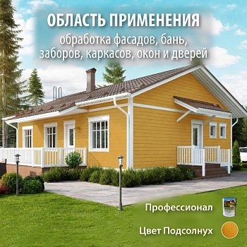 картинка Масло для Фасадов ПРОФЕССИОНАЛ Подсолнух (НК-50) 2,7л от магазина Кубатура