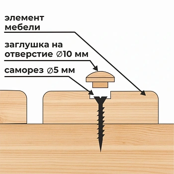 картинка Заглушка на отверстие ПРОФЕССИОНАЛ сфера D10мм береза (30шт/уп) от магазина Кубатура