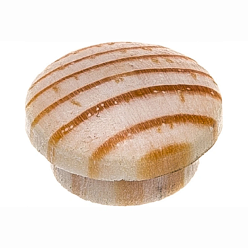 картинка Заглушка на отверстие ПРОФЕССИОНАЛ сфера D12мм сосна (15шт.уп) от магазина Кубатура